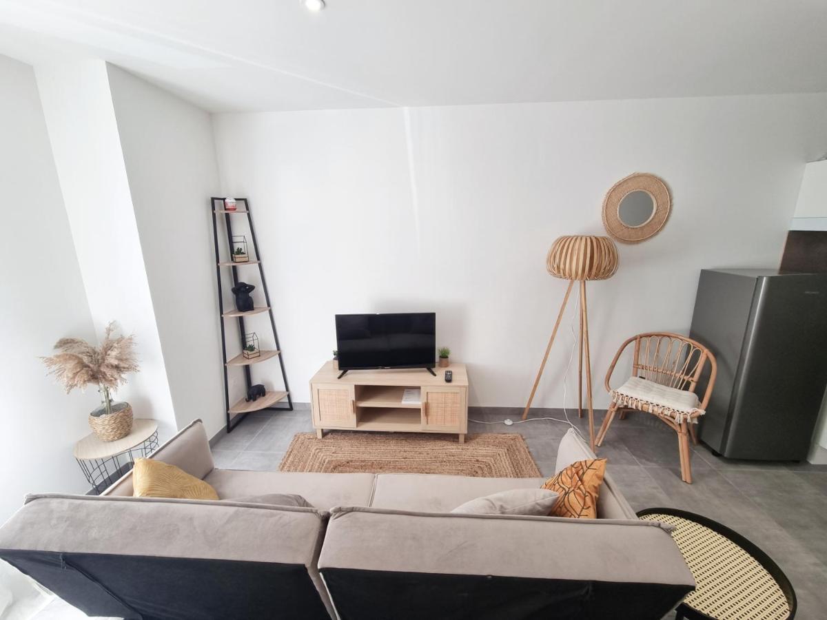 Chaleureux 2 Personnes Apartment Saint Gaudens